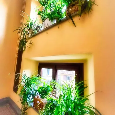 Chic Green Penthouse - Domotic Comfort In Milans Trendy Nightlife District *